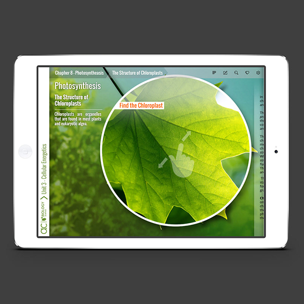 Interactive Ebook App Prototype for Biology